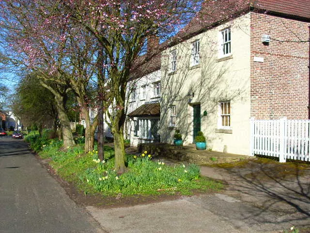 High Street, Low Shincliffe, in spring